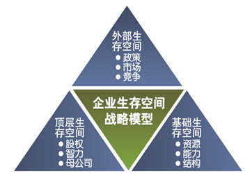 中天华溥:企业战略咨询