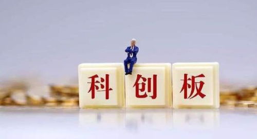股市抢钱的日子要开始了