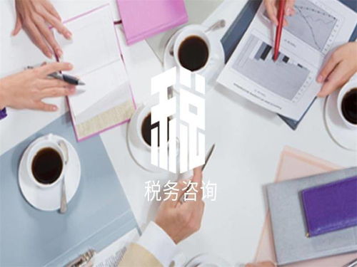 三亚市税务咨询公司优秀企业推荐