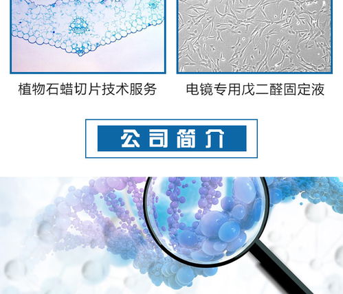 迈斯普公司 nta检测